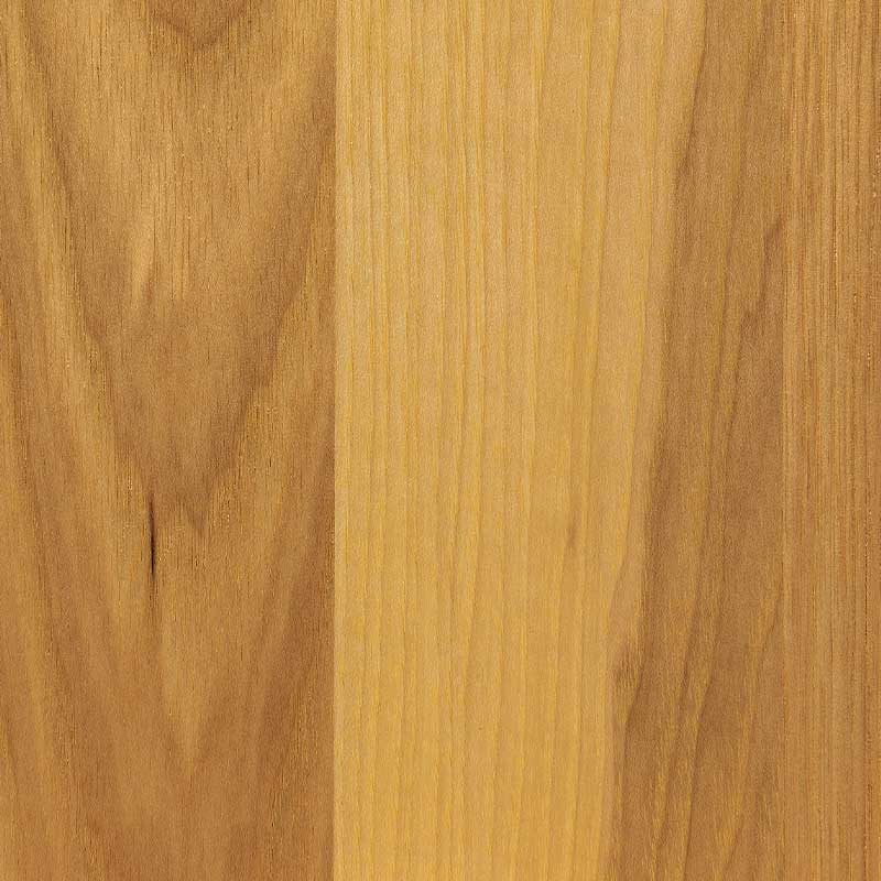 Lemon D22Y00320 – Hickory – SP