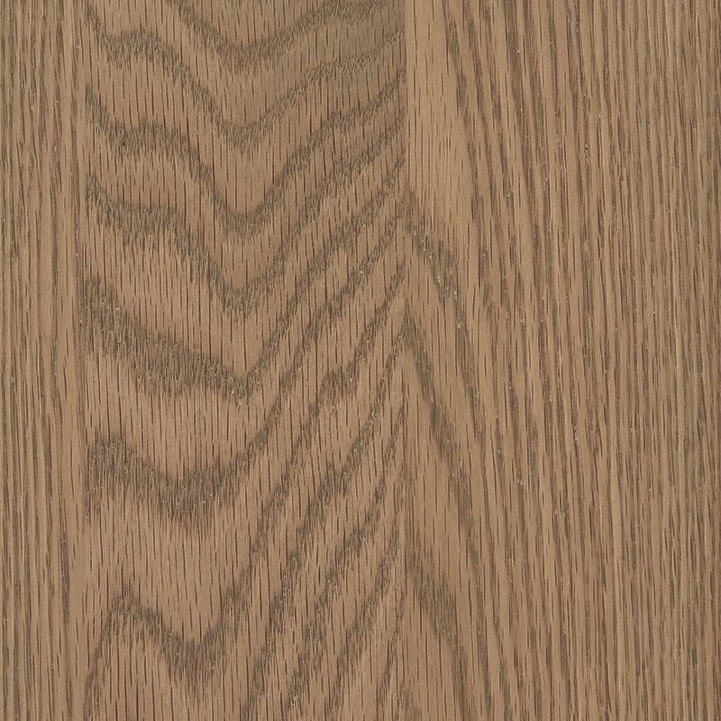 Seashell in Red Oak – SP