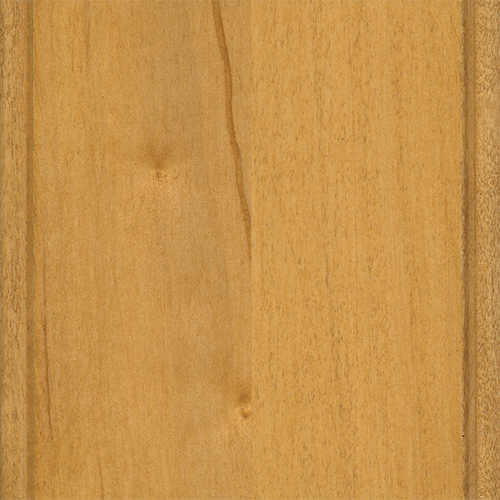Wheat CSFC-12010 Br. Maple
