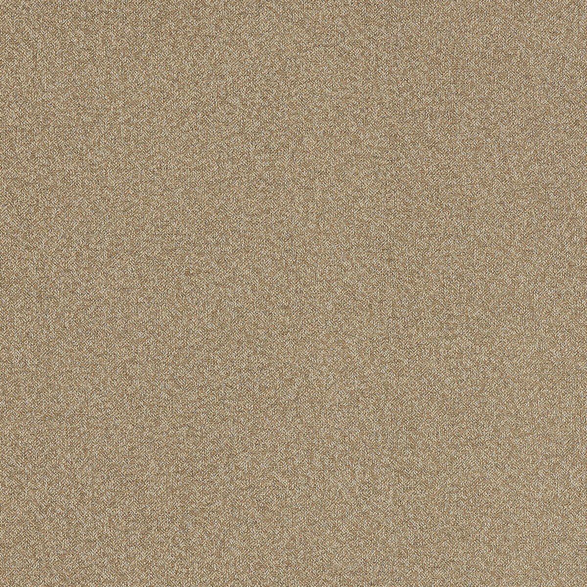 C16-42 Sherbet – HF