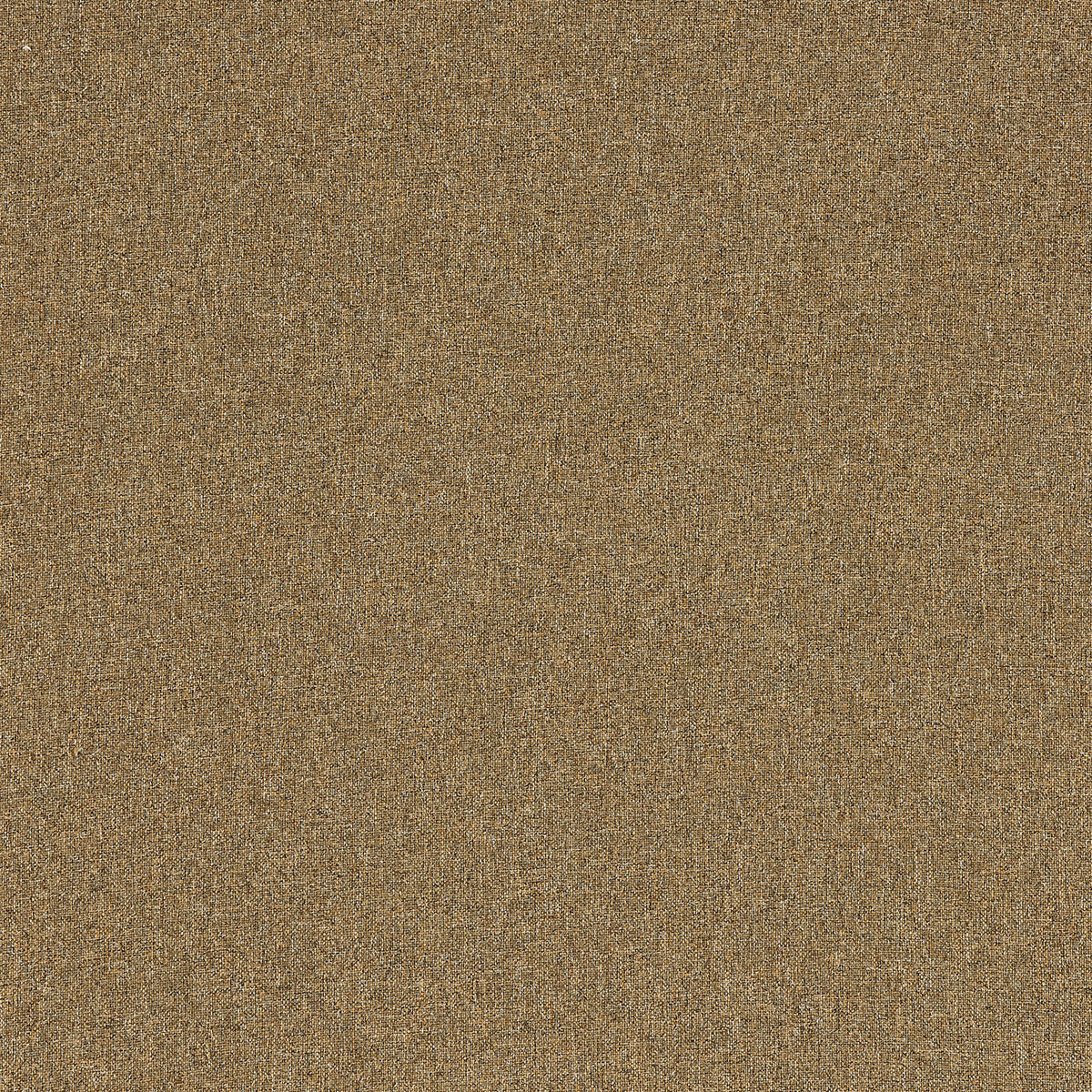 C16-46 Fungus – HF