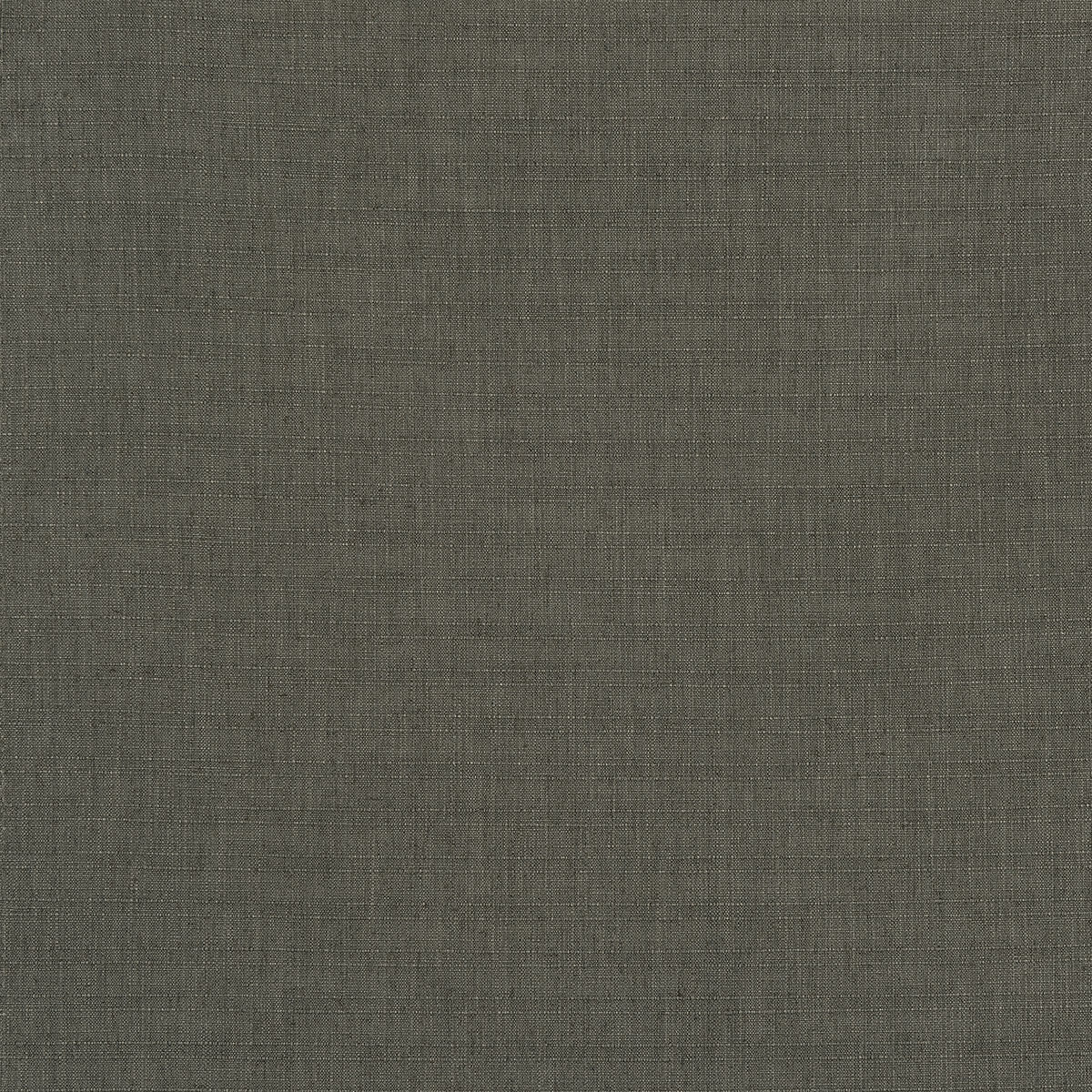 C16-56 Billow – HF