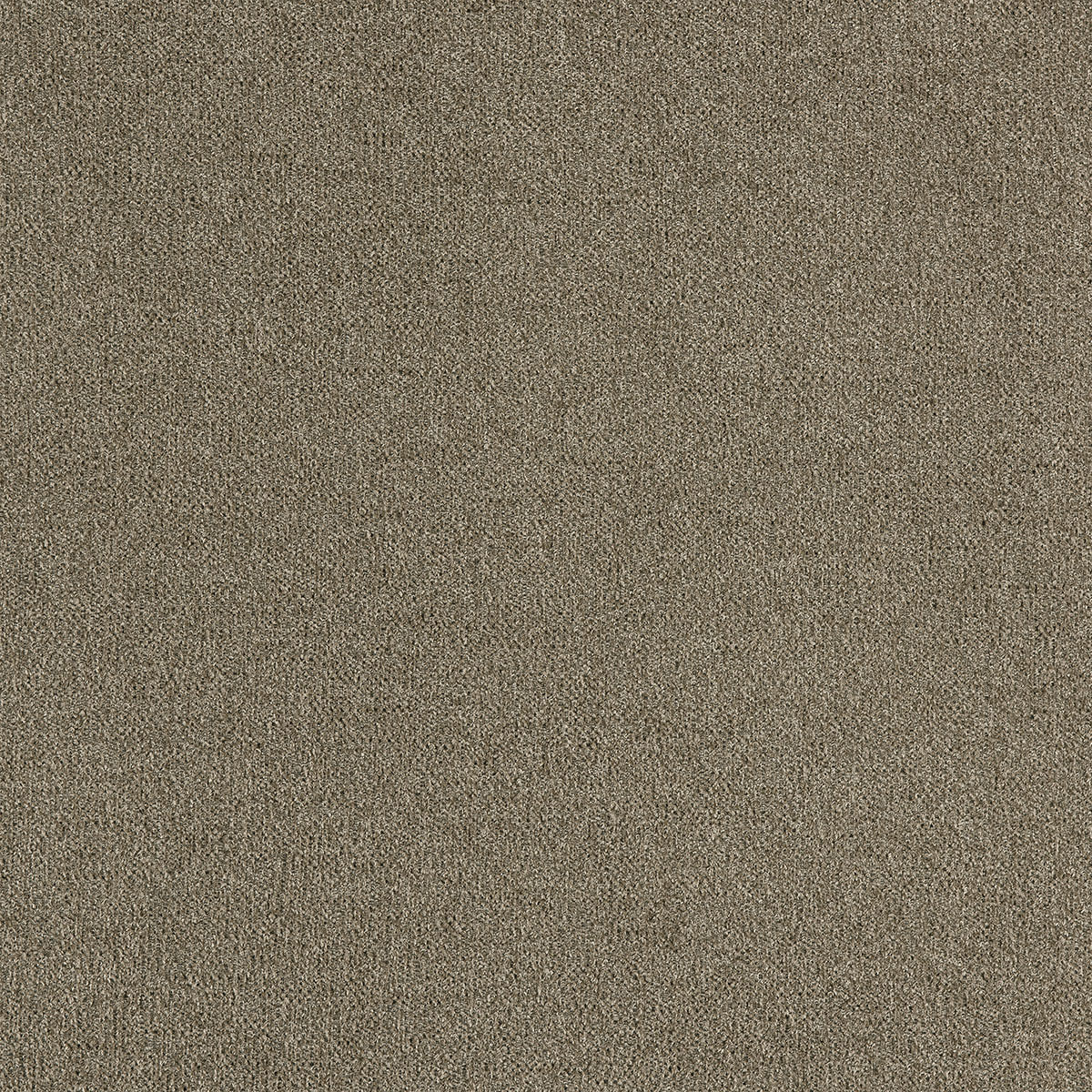 C16-61 Double – HF