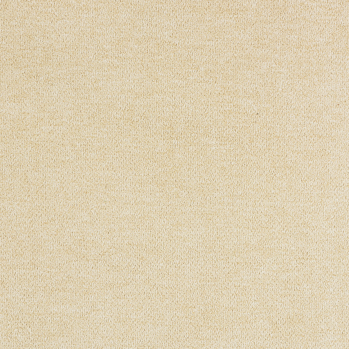 C22-6 Canterbury – HF