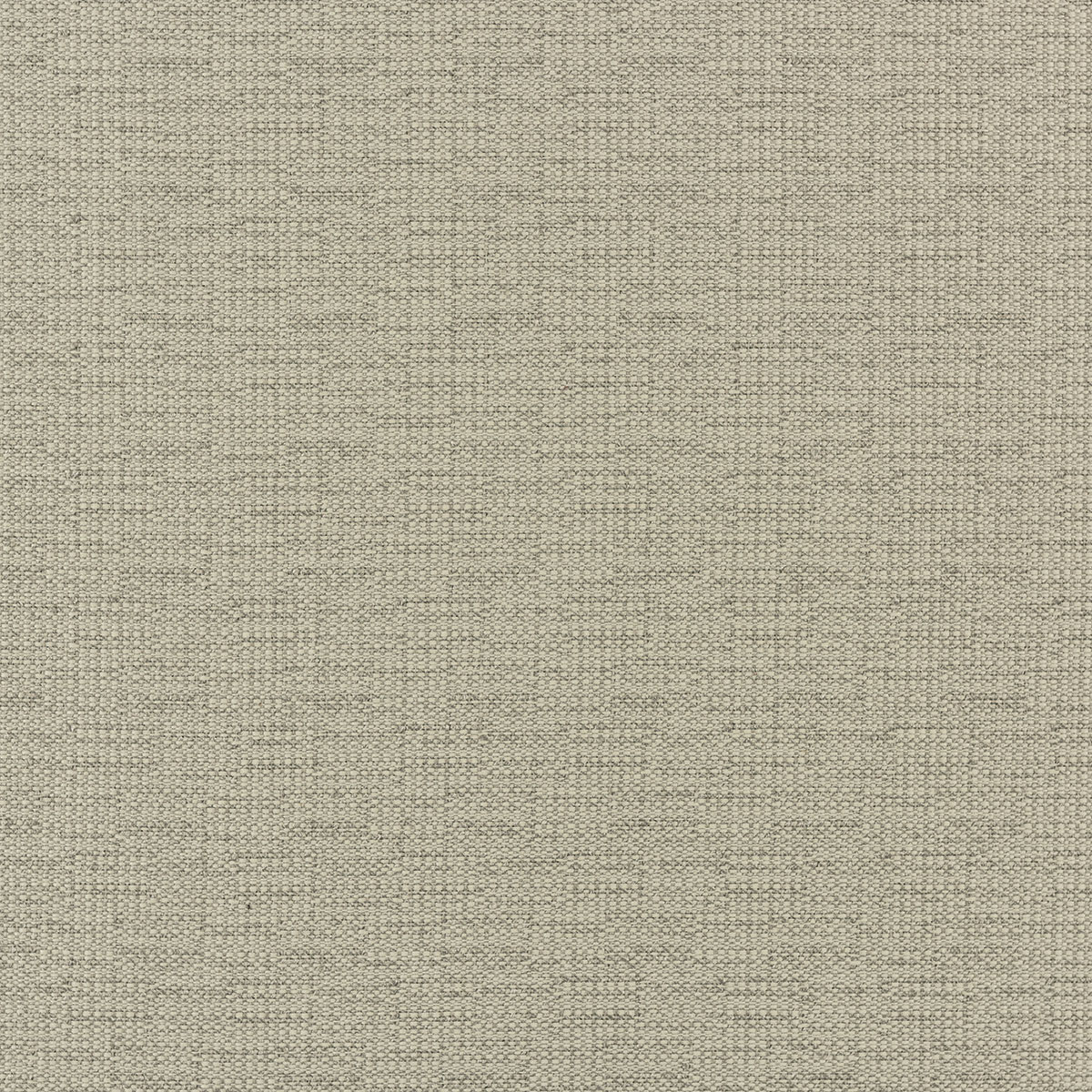 C8-57 Coconut – HF