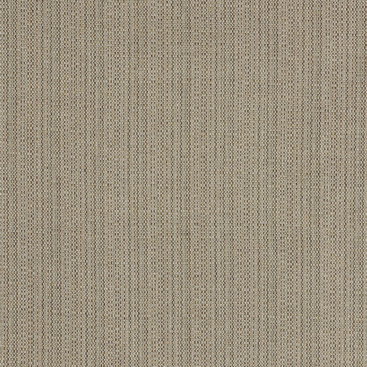C8-88 Sisal – HF