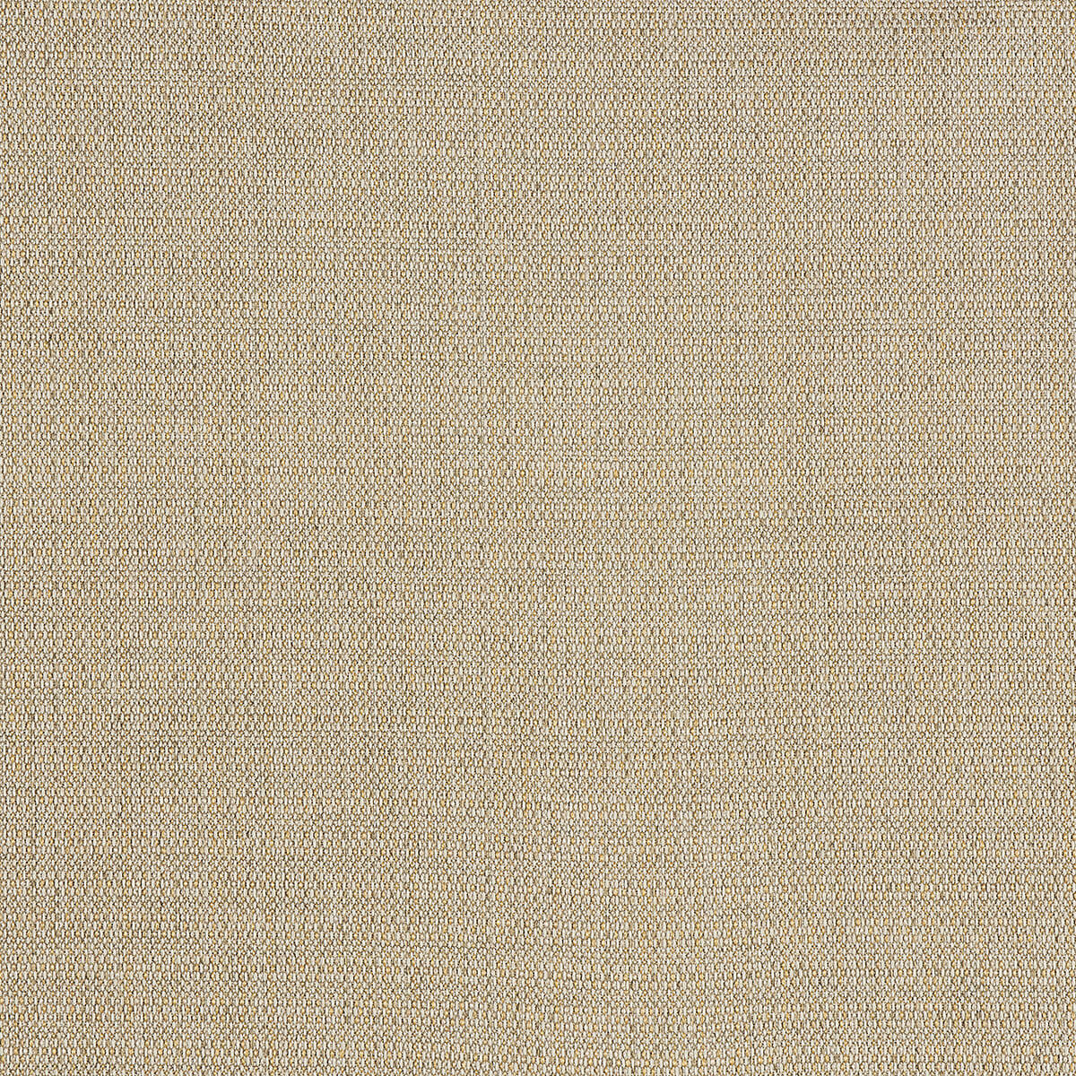 C8-90 Highline – HF