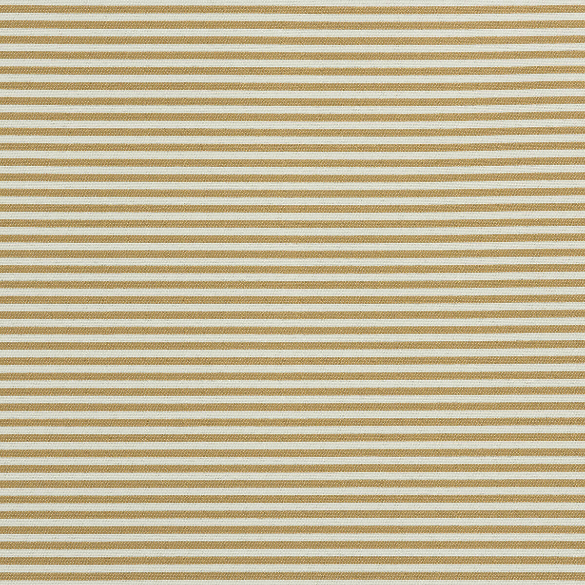 O1-16 Nightingale – HF