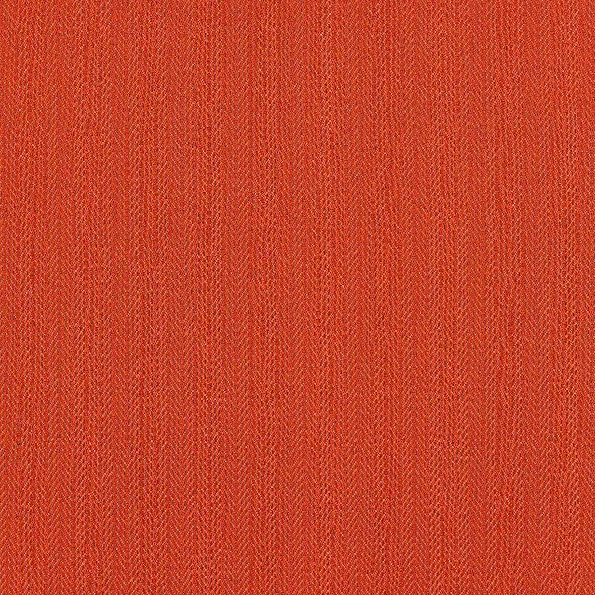 O1-3 Tangerine – HF