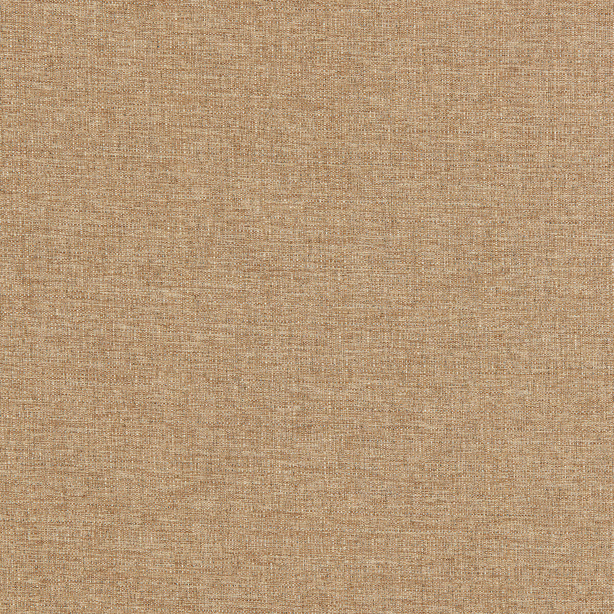 O22-3 Canvasback – HF