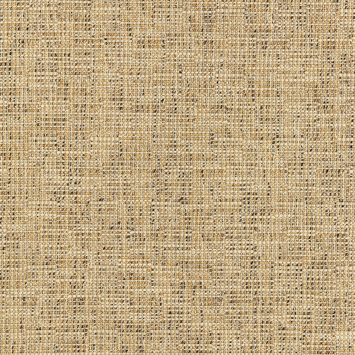 O8-82 Chestnut – HF