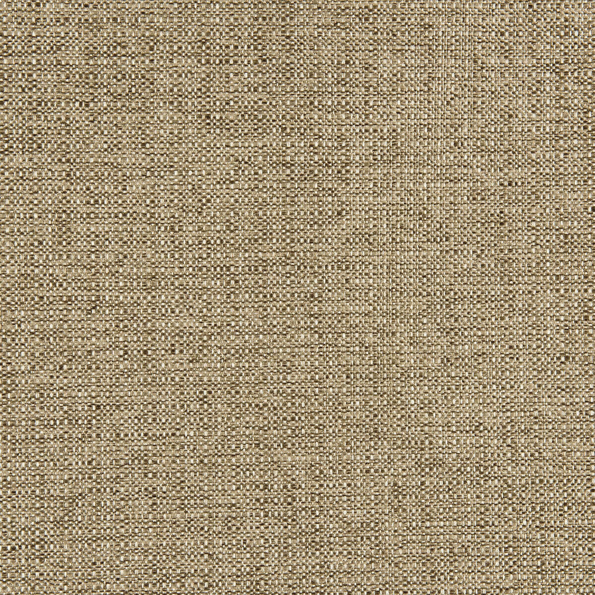 R1-121 Muscle – HF