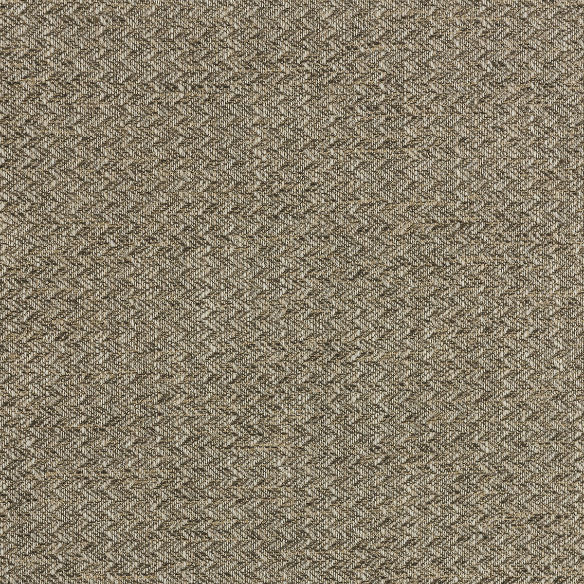 22-51 Chickadee – HF