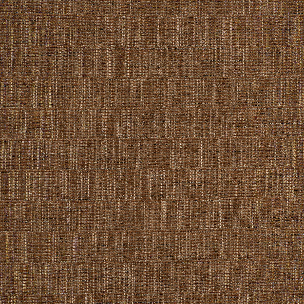 25-23 Paragon – HF