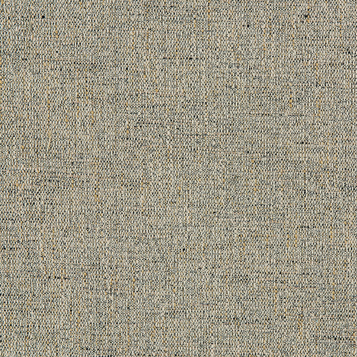 7-74 Dalmation – HF