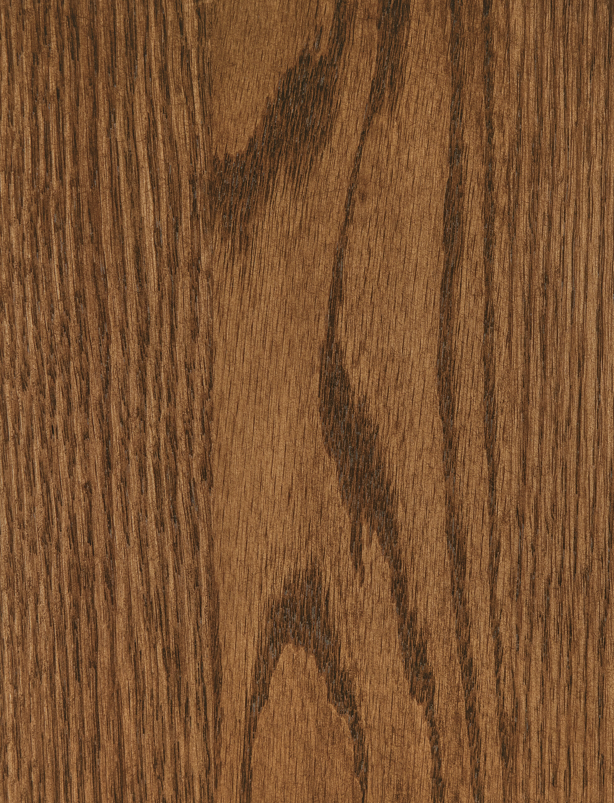 PCL – Clove – SP