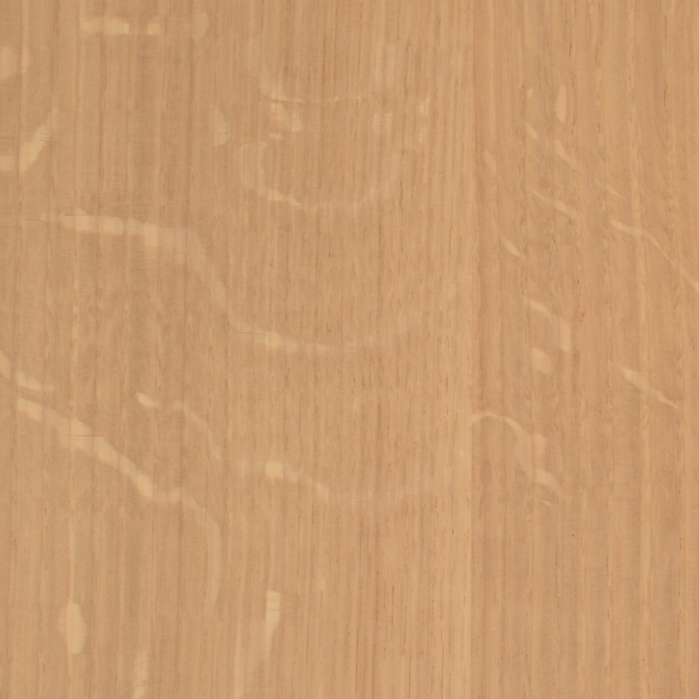 138 Latte QSWO – OCS