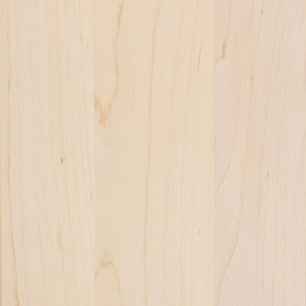 Merely Bleached – Brown Maple – AMS – 45236