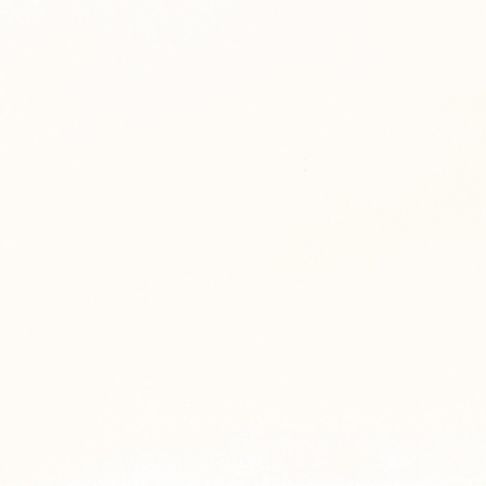 Conversion Varnish White – AMWHT20