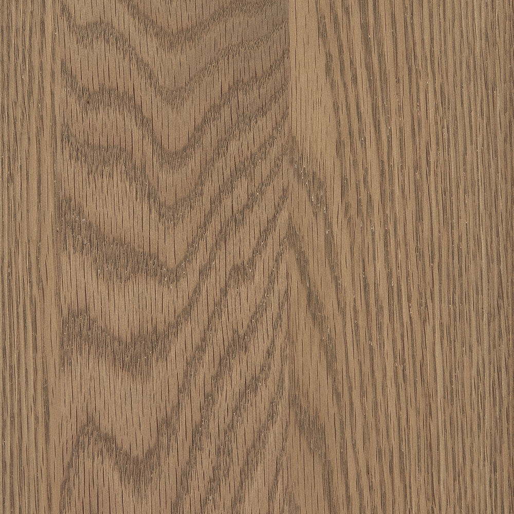 PCL – Seashell – SP