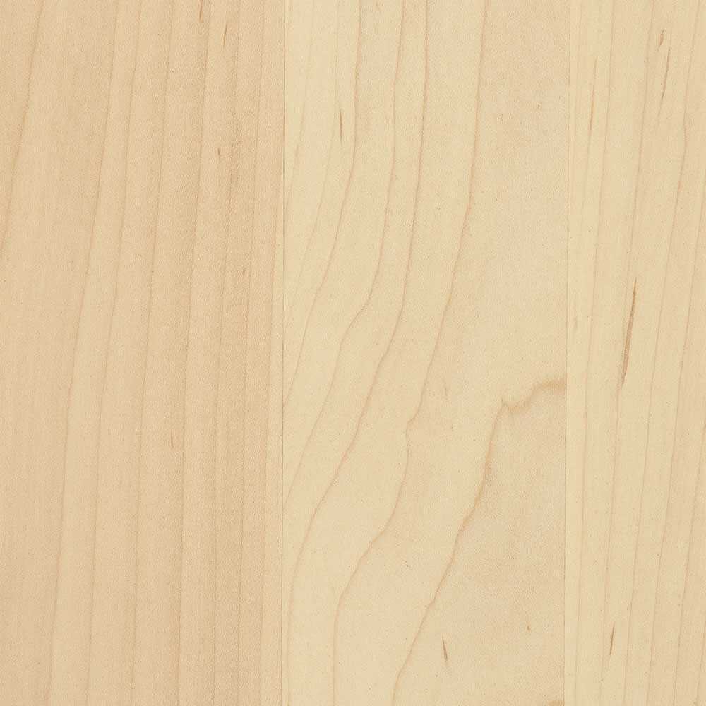 PCL – Bamboo – SP