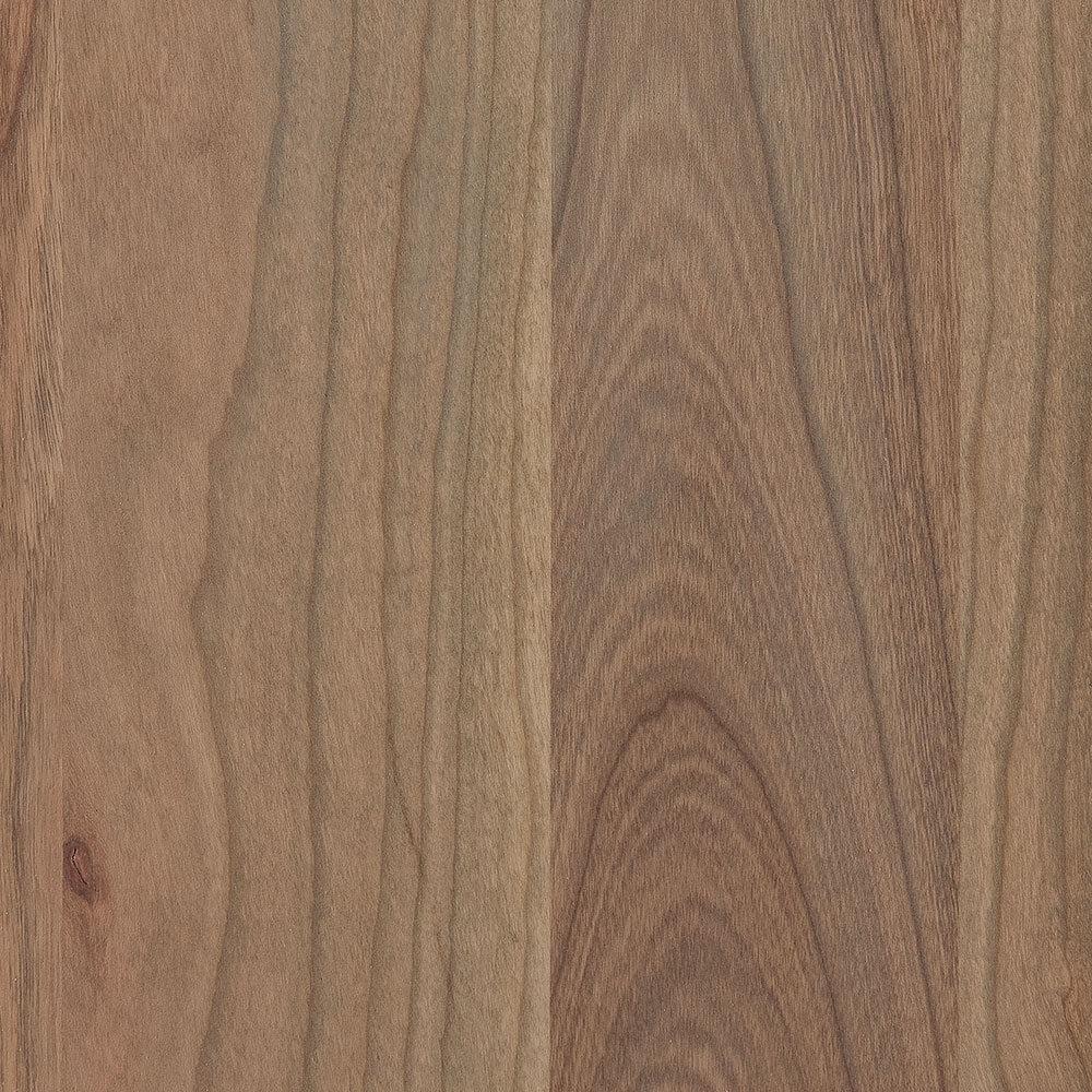 PCL – Seashell – SP