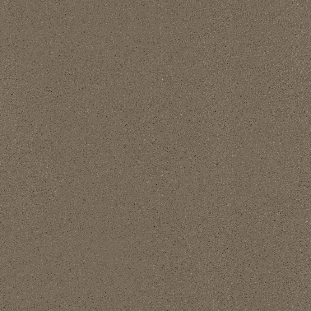 U3-37 Shiitake – HF