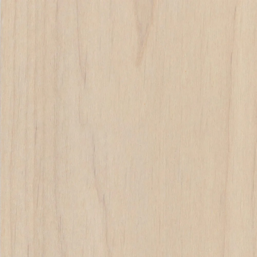 024 Snow White – WFIN