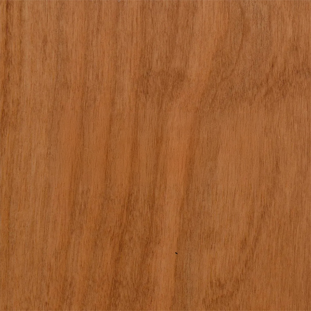 004 Caramel – WFIN