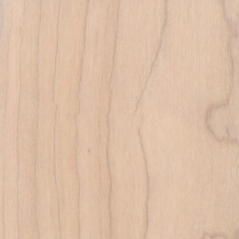 024 Snow White – WFIN