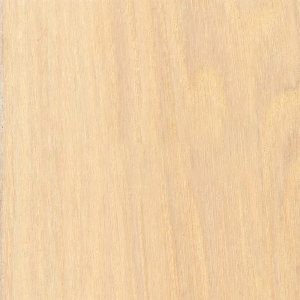 024 Snow White – WFIN