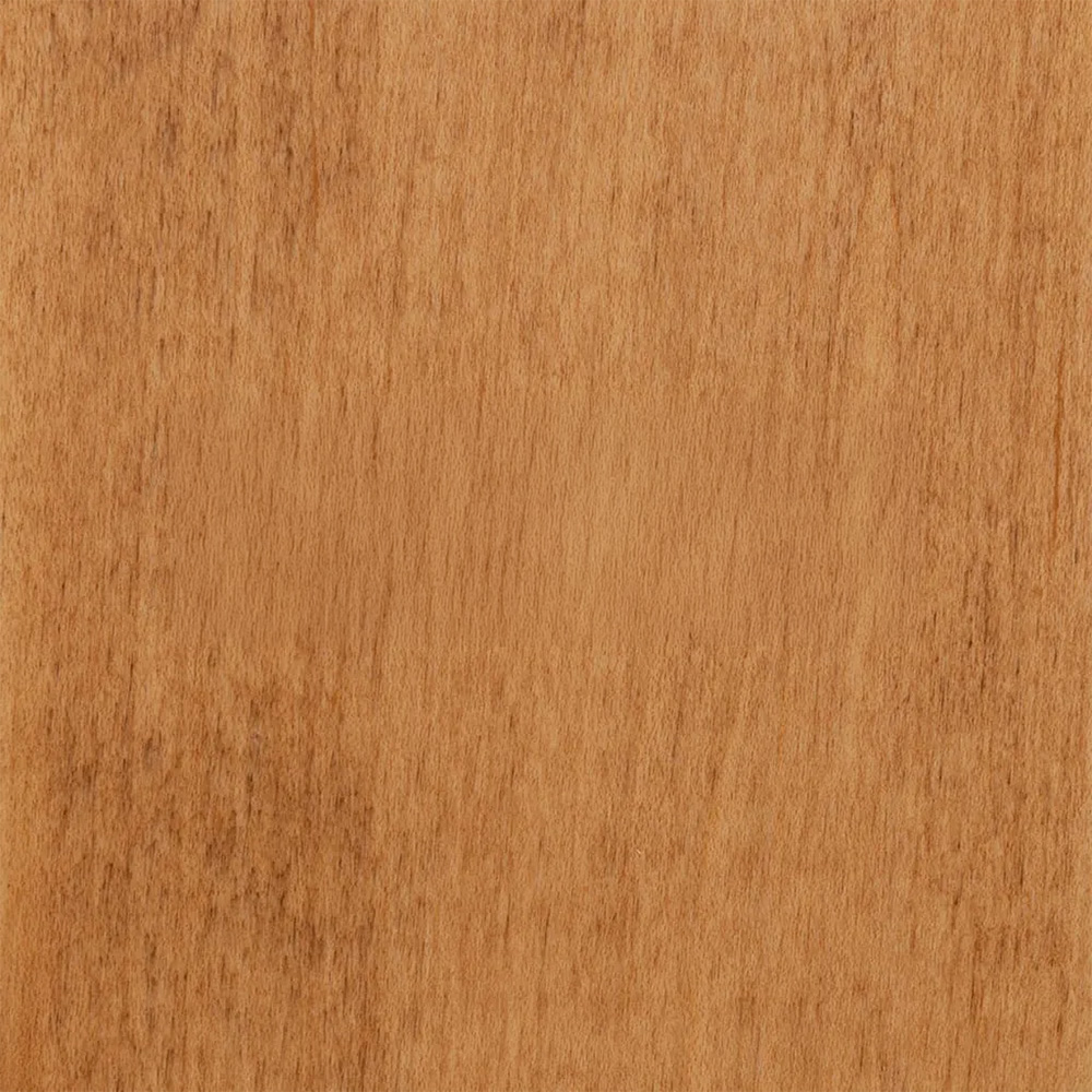 004 Caramel – WFIN