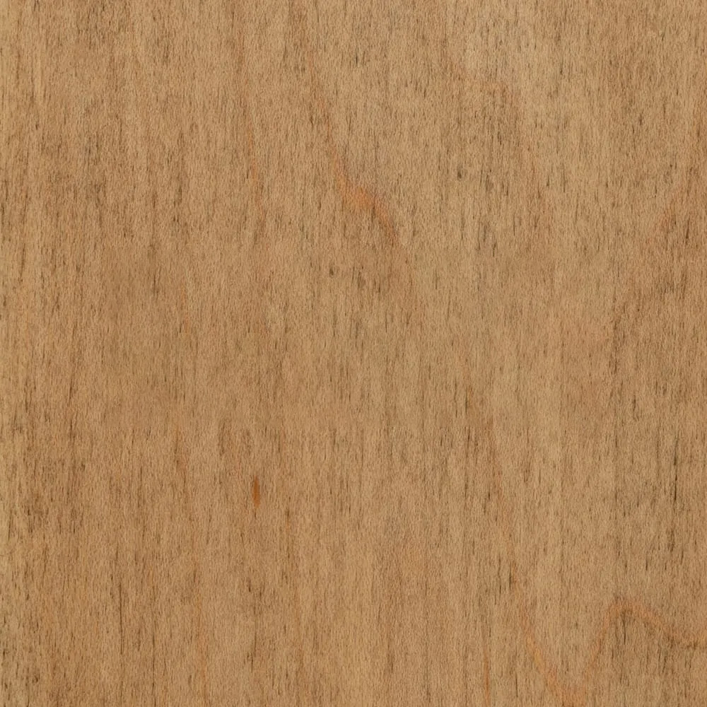 014 Brown Sugar – WFIN