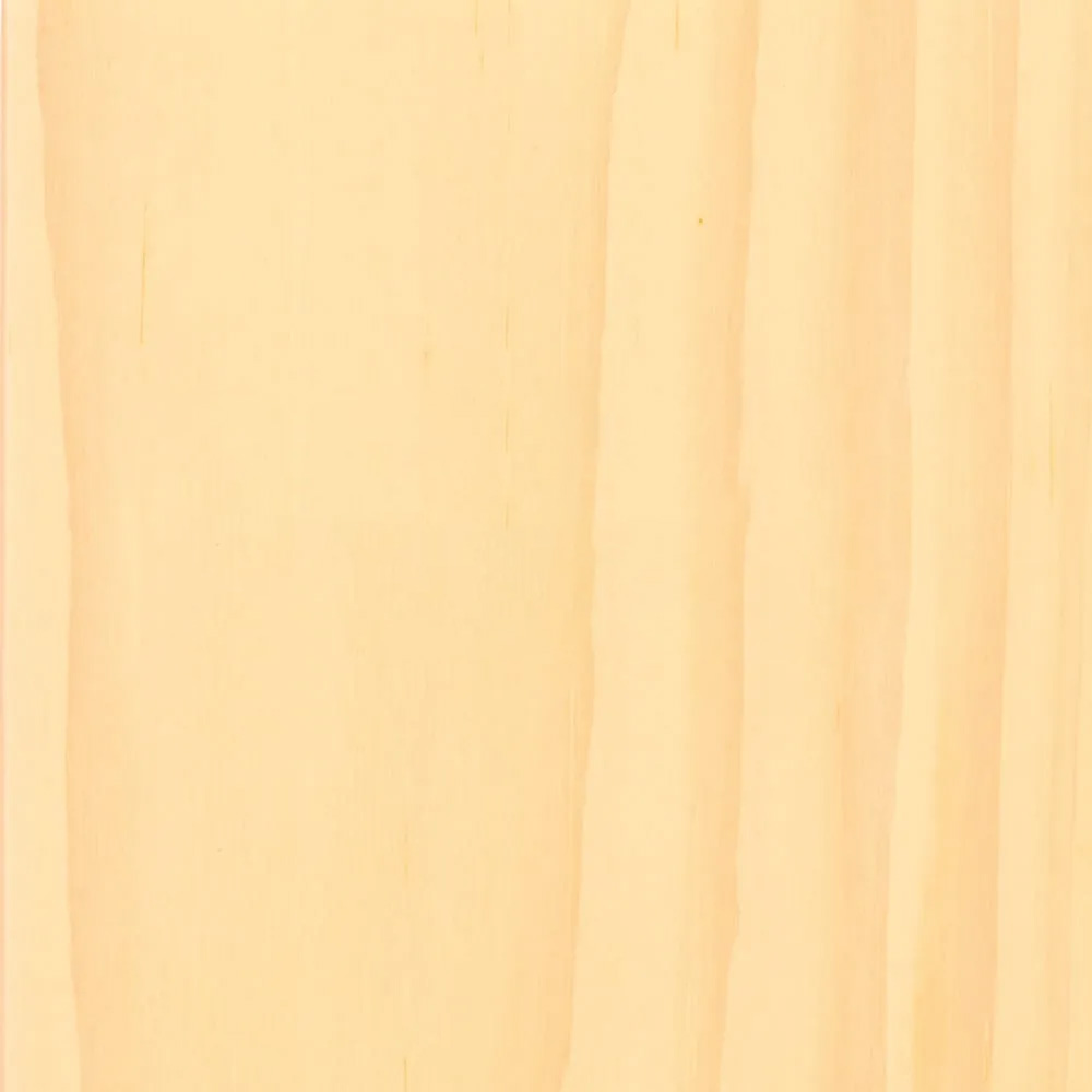 024 Snow White – WFIN