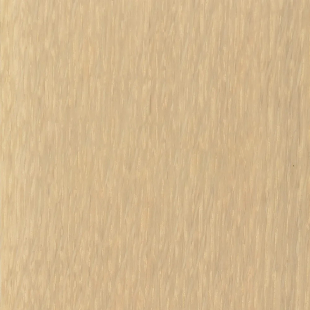 024 Snow White – WFIN