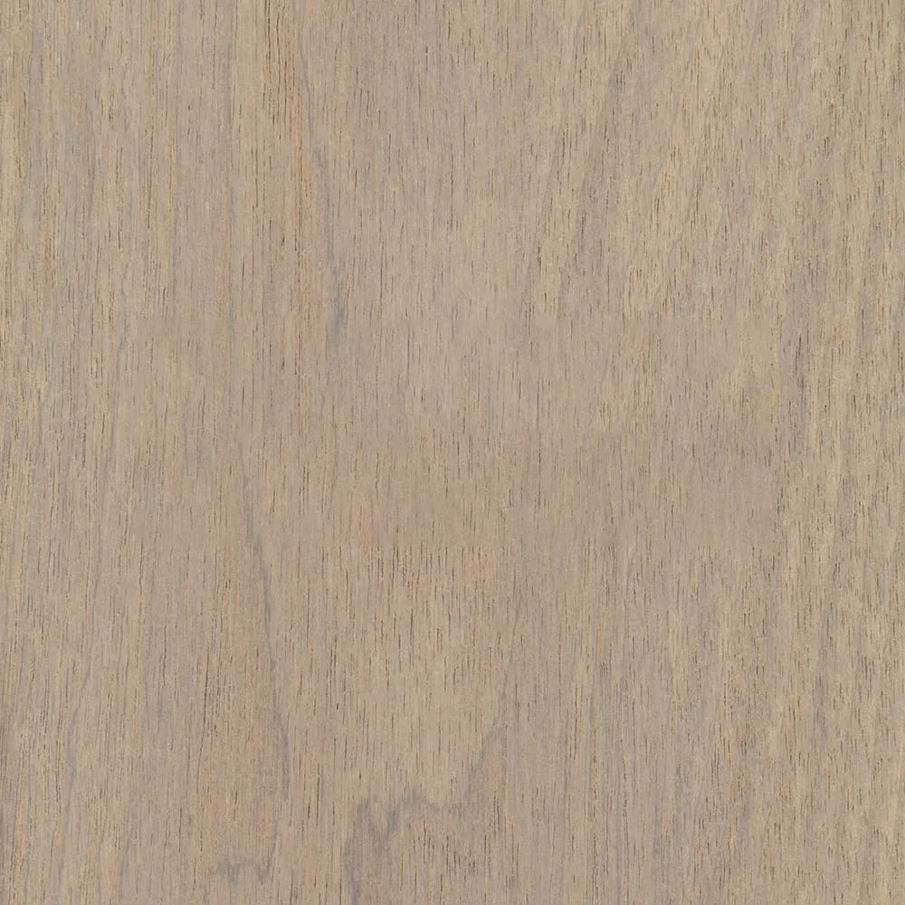 024 Snow White – WFIN