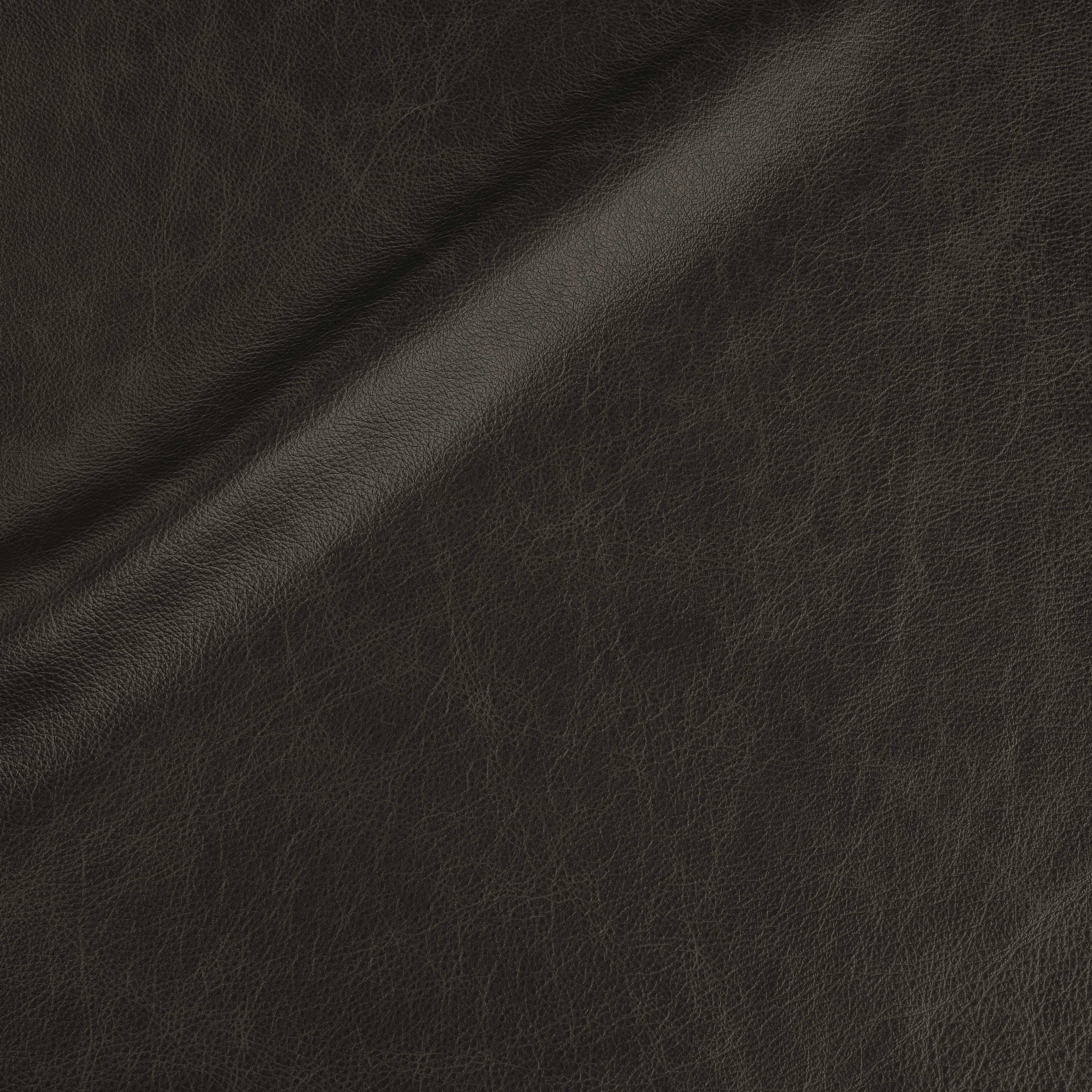 L130 Night Sky – ALS