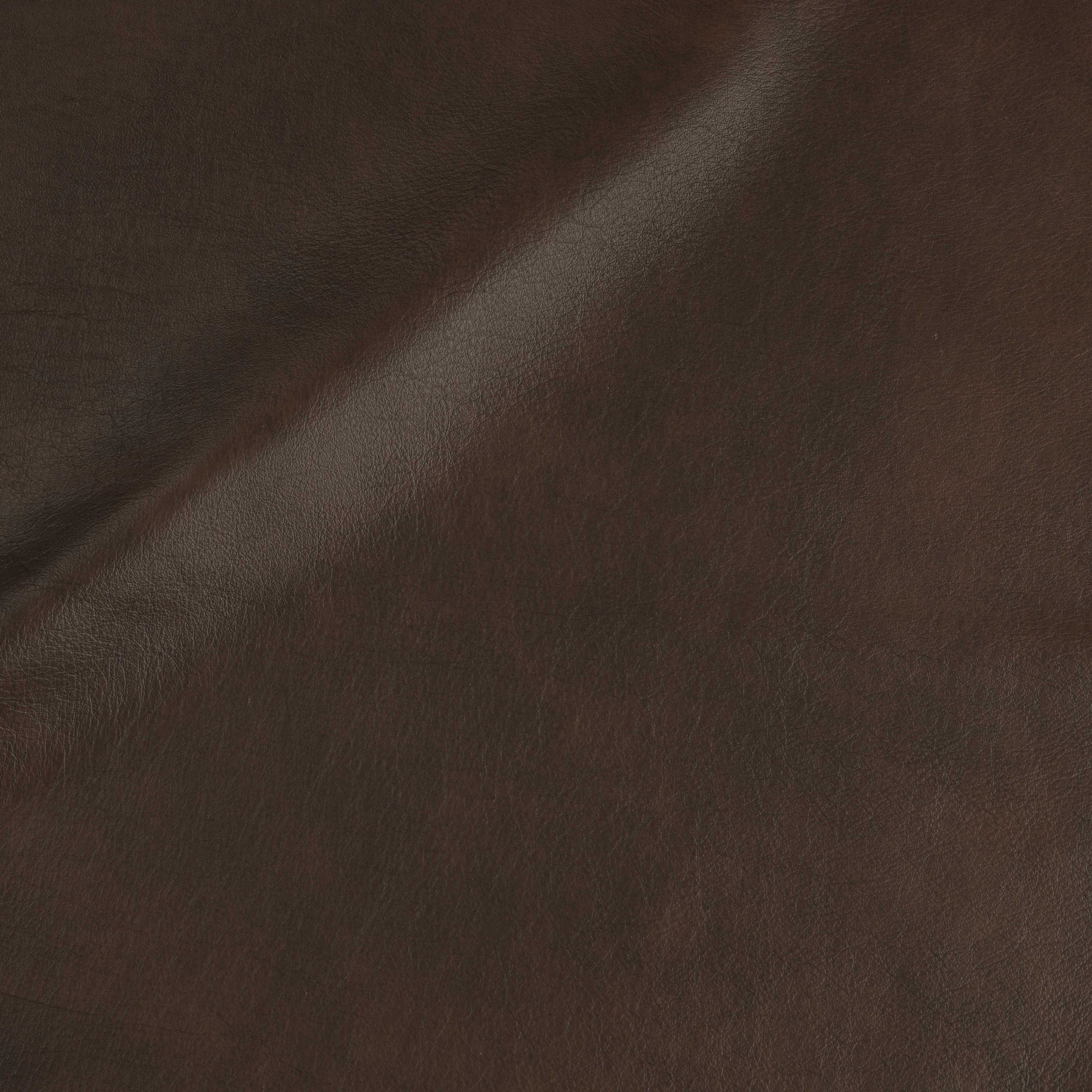 L308 Teddy Bear – ASL