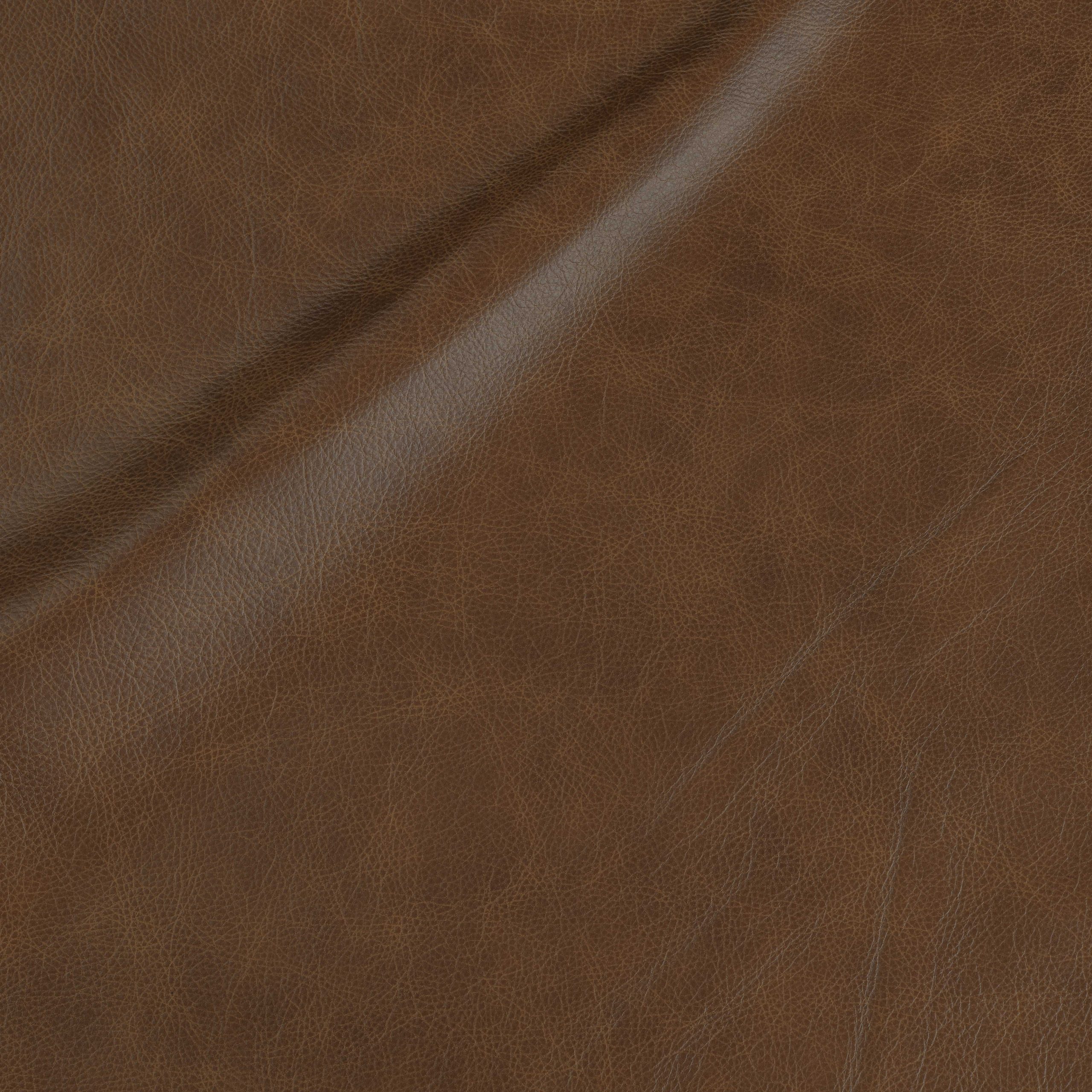 L315 Hazelnut – ASL