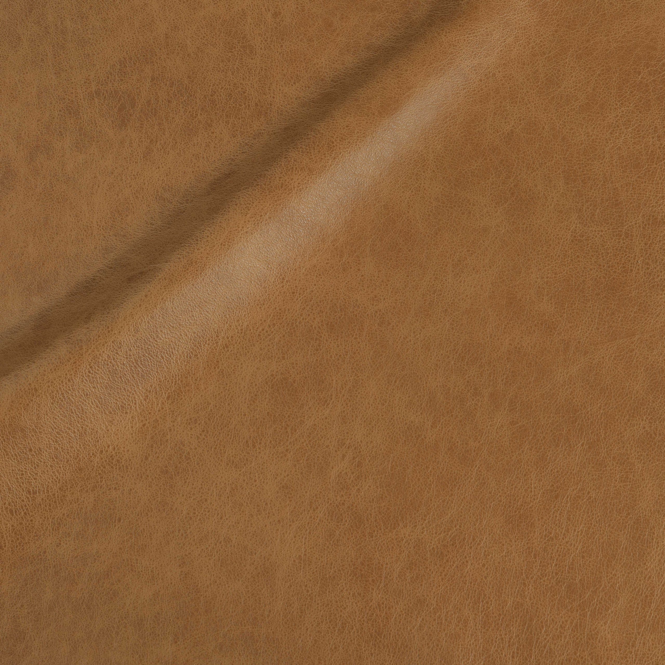 L335 Vanilla Crumb – ASL