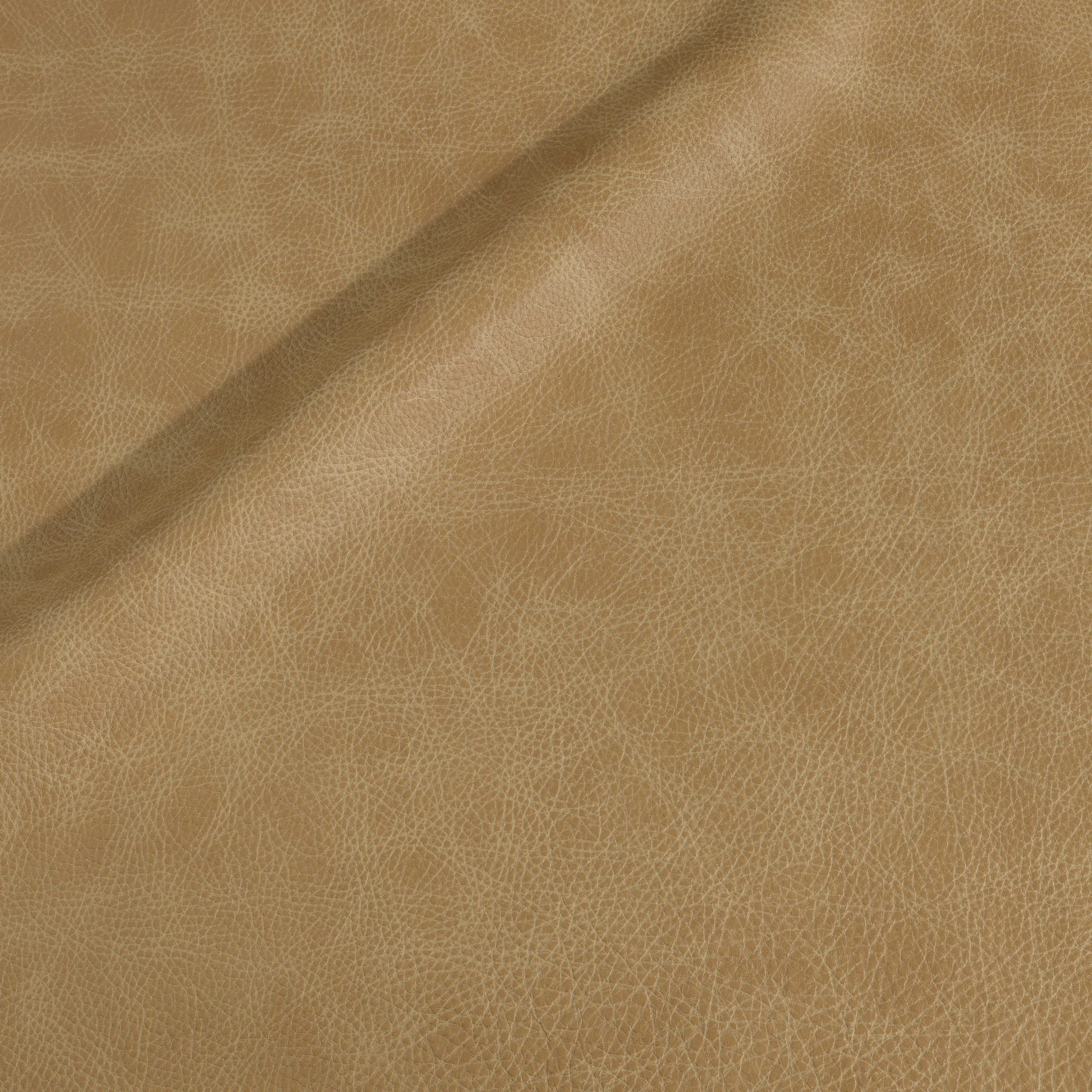 L530 Ginger Root – ASL