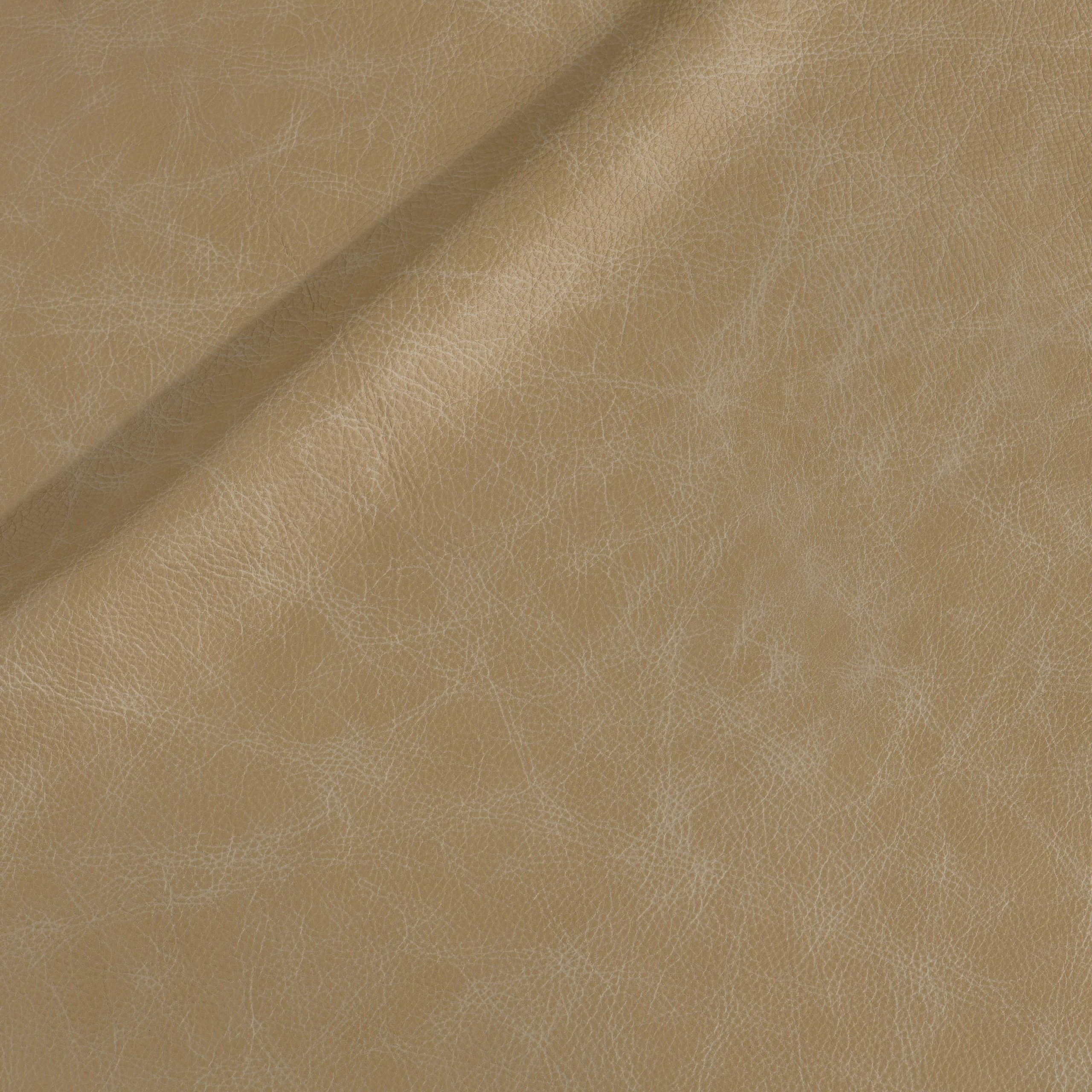 L535 Creamy Cappuccino – ASL