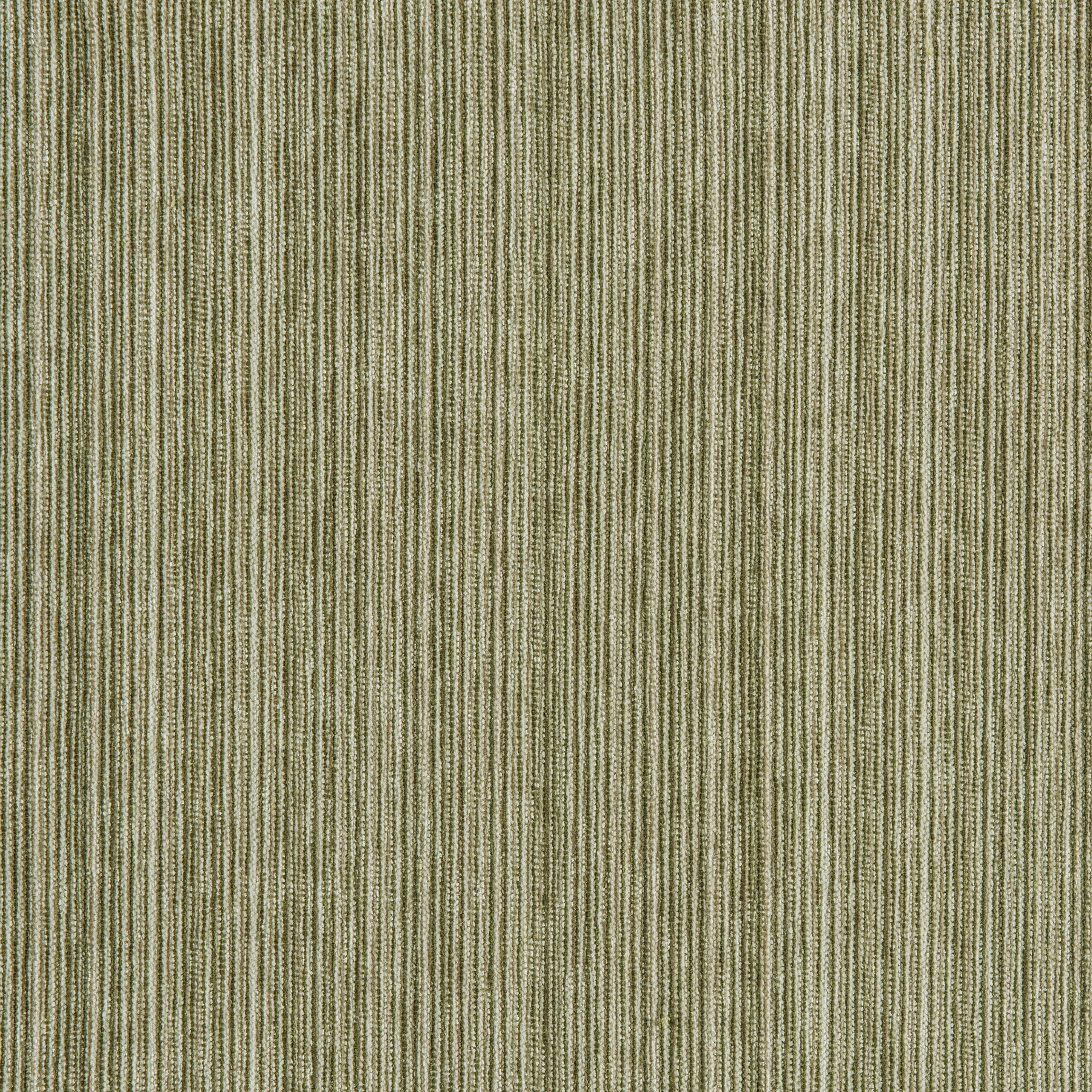 C2-50 Dunegrass – HF